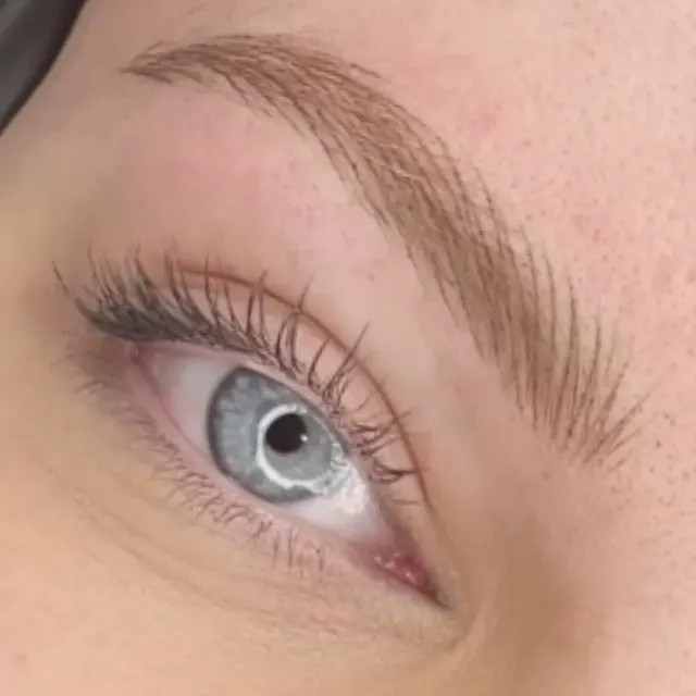 iBrow Vixen transformation result