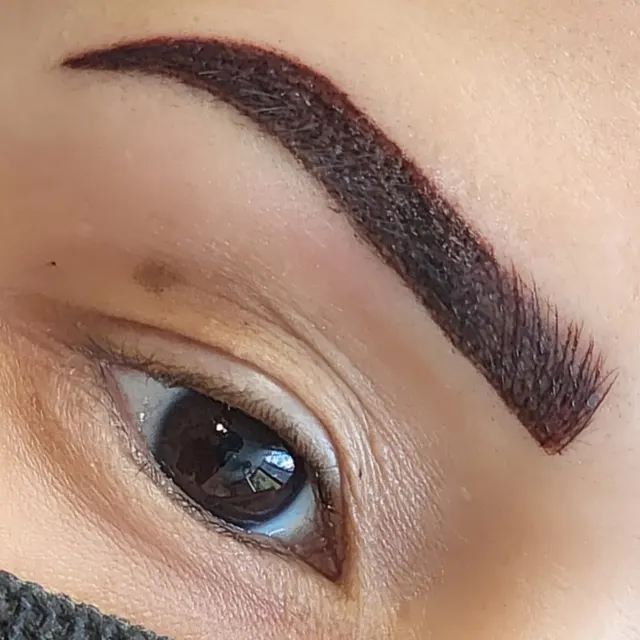 iBrow Vixen transformation result