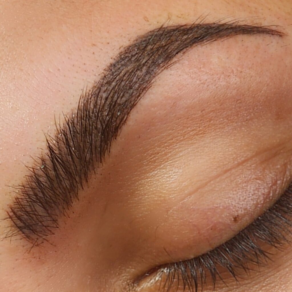 Hybrid Eyebrows